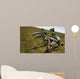 Bad Dinos Wall Decal