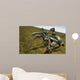 Bad Dinos Wall Decal