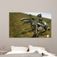 Bad Dinos Wall Decal