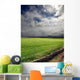 Beautiful Irish Landscape Wall Decal