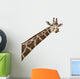 Photo Giraffes Neck Wall Decal