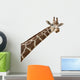 Photo Giraffes Neck Wall Decal