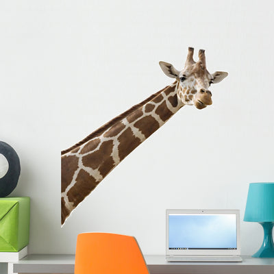 Photo Giraffes Neck Wall Decal shown on a wall