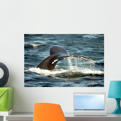 Whale Tail Wall Decal shown on a wall