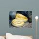 Python Wall Decal