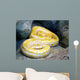 Python Wall Decal
