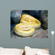 Python Wall Decal