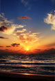 Tropical Sunrise Wall Decal