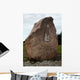 Jimi Hendrix Memorial Wall Decal