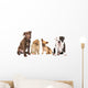 4 Different Puppy Breeds Wall Decal
