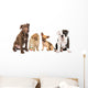 4 Different Puppy Breeds Wall Decal