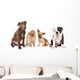 4 Different Puppy Breeds Wall Decal