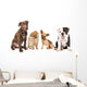 4 Different Puppy Breeds Wall Decal