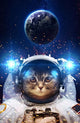 Beautiful Outer Space Cat Wall Decal