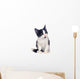 Black and White Kitten Wall Decal