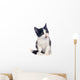 Black and White Kitten Wall Decal