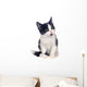 Black and White Kitten Wall Decal