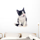 Black and White Kitten Wall Decal