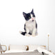 Black and White Kitten Wall Decal
