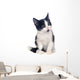 Black and White Kitten Wall Decal