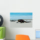 Beautiful Iguana Resting Beach Wall Decal