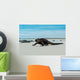 Beautiful Iguana Resting Beach Wall Decal