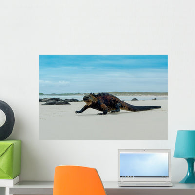 Beautiful Iguana Resting Beach Wall Decal shown on a wall