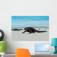 Beautiful Iguana Resting Beach Wall Decal