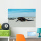 Beautiful Iguana Resting Beach Wall Decal