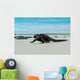 Beautiful Iguana Resting Beach Wall Decal