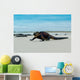 Beautiful Iguana Resting Beach Wall Decal