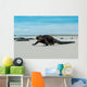 Beautiful Iguana Resting Beach Wall Decal