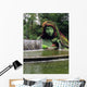 Amazing Garden Landscape Design Wall Decal