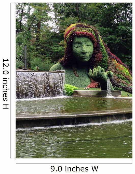Amazing Garden Landscape Design Wall Decal