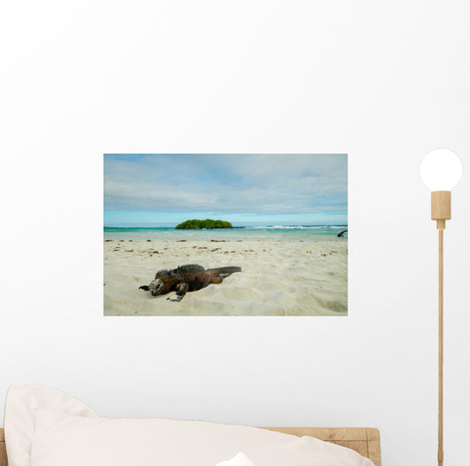 Iguanas Relaxing Beach Santa Wall Decal