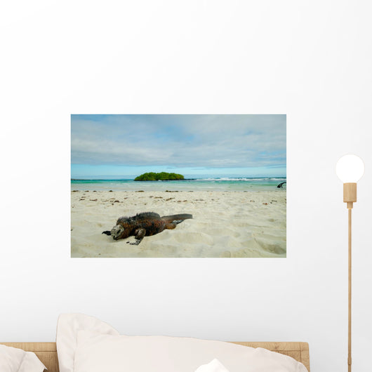 Iguanas Relaxing Beach Santa Wall Decal