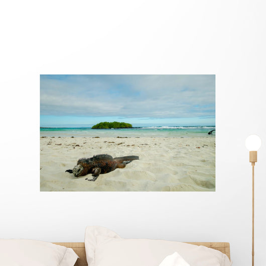 Iguanas Relaxing Beach Santa Wall Decal