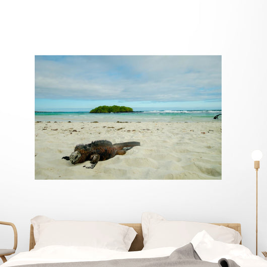 Iguanas Relaxing Beach Santa Wall Decal