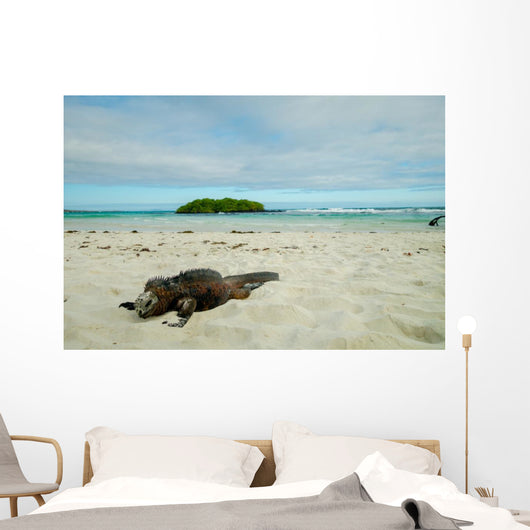 Iguanas Relaxing Beach Santa Wall Decal
