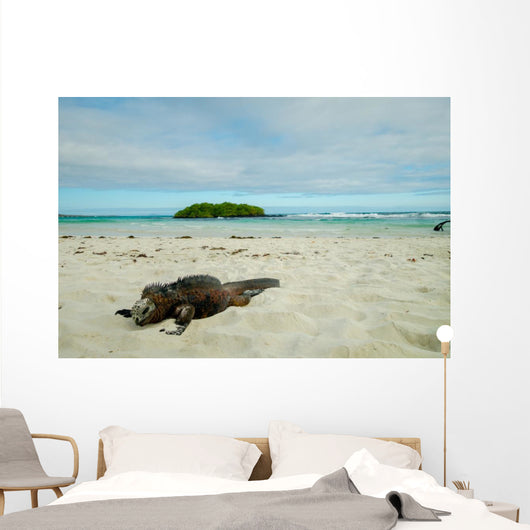 Iguanas Relaxing Beach Santa Wall Decal
