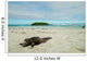 Iguanas Relaxing Beach Santa Wall Decal