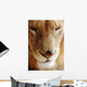 Lion Portrait Wall Decal