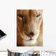 Lion Portrait Wall Decal