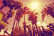 Sun Shining through Tall Wall Decal