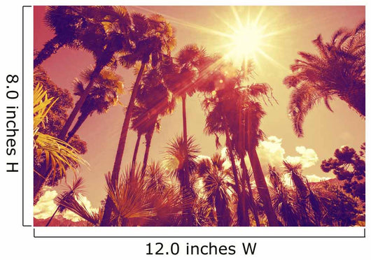Sun Shining through Tall Wall Decal
