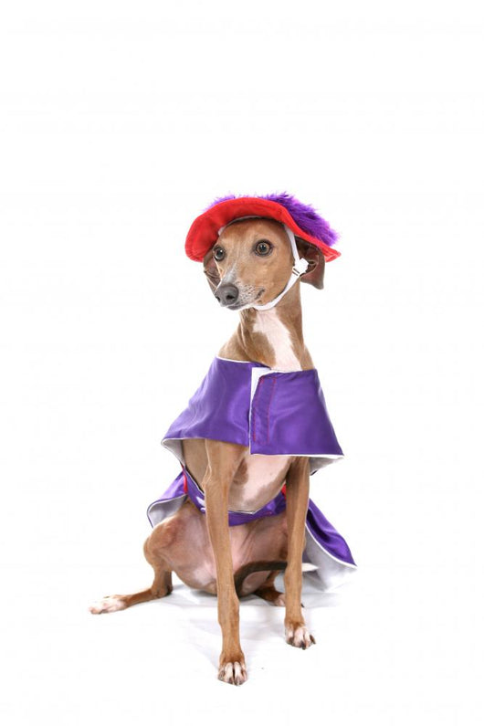 Dog Purple Dress Wall Decal