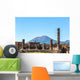 Pompeii City Wall Decal