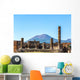 Pompeii City Wall Decal