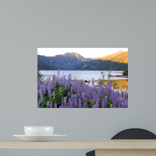 Coldwater Lake Wall Decal