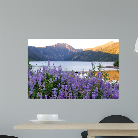 Coldwater Lake Wall Decal